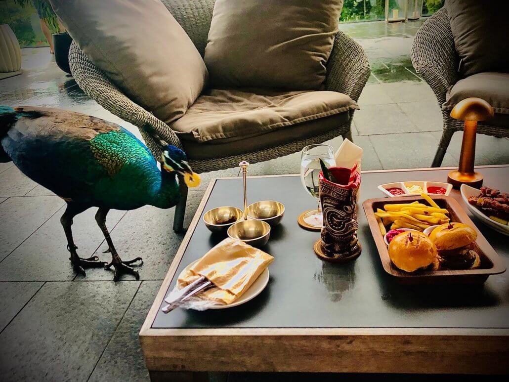 Peacock